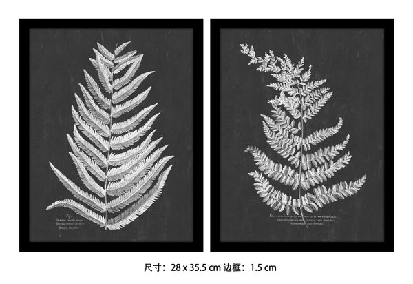 11"Lx14-1/4"H Wood/MDF/Glass Wall Decor,w/Fern Fronts 2 styles  (28x36cm）