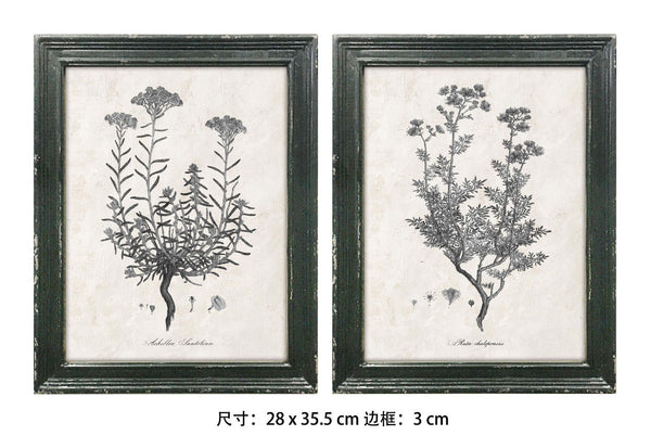 11"Lx14-1/5"H Wood/MDF/Glass Wall Decor,w/Botanicals 2 styles  (28x36cm）